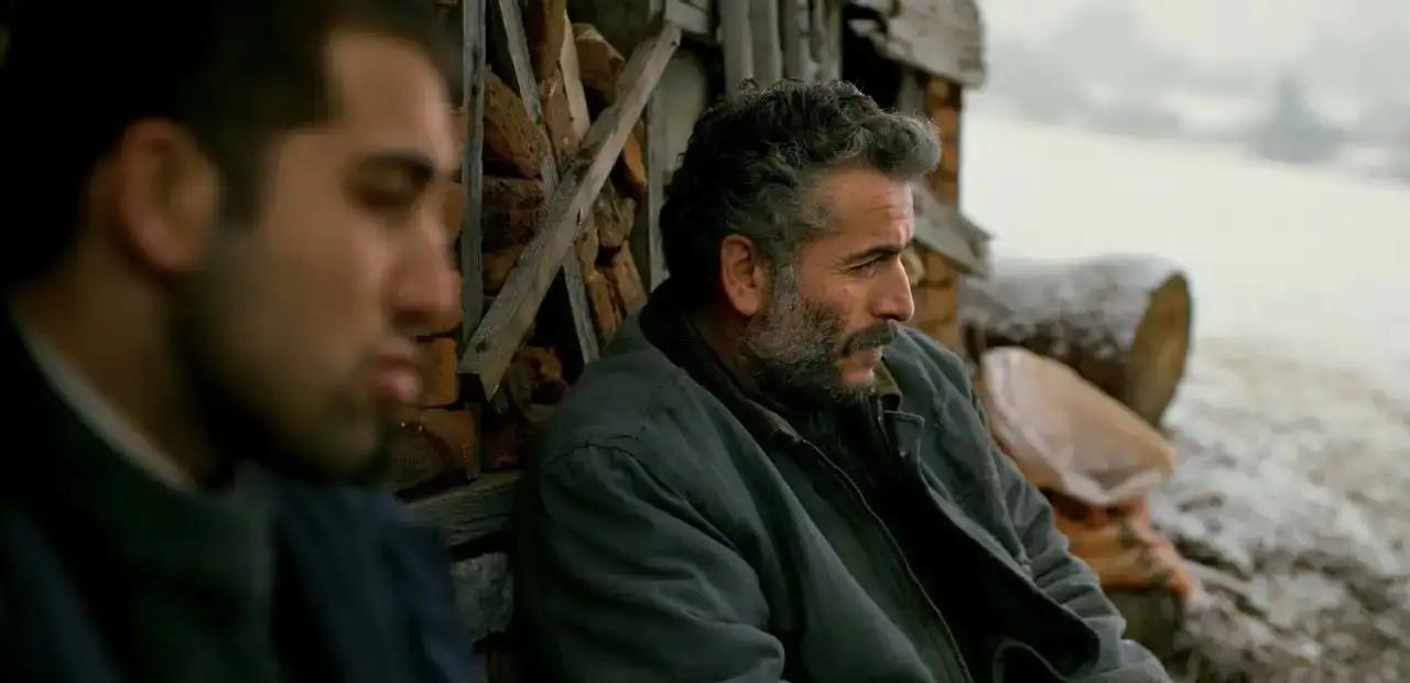 Ahlat Ağacı