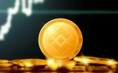 Binance Coin (BNB)