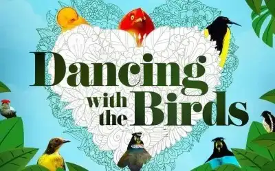 Kuşlarla Dans (Dancing with the Birds)