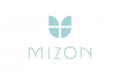 Mizon