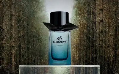 Burberry Mr. Burberry