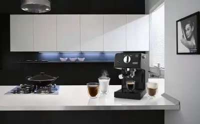 Delonghi ECP31.21 Manuel Espresso Makinesi