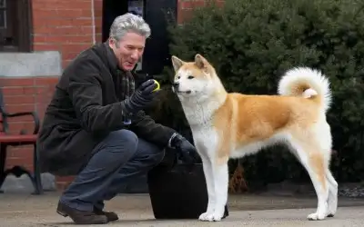 Hachi: Bir Köpeğin Hikayesi (Hachi: A Dog’s Tale)