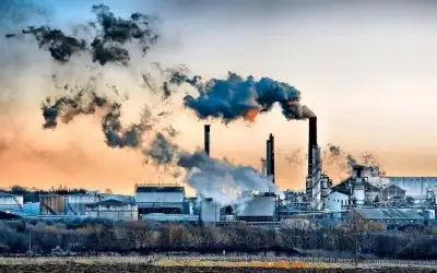 Karbon Ayak İzi Nedir?: Karbon Ayak İzi Nasıl Azaltılır?