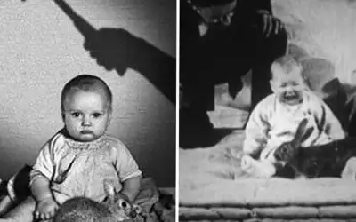 Küçük Albert Deneyi