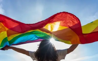 LGBTİ + Kavramı: LGBTİ + Onur Yürüyüşü (Pride) ve Tarihçesi