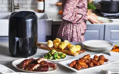 Moulinex EZ3018 Easy Fry Compact Precision