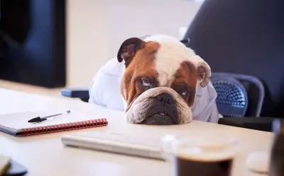 Sabah 9 Akşam 18 Çalışmamak İçin 10 Neden