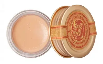 Skinfood Salmon Concealer Kapatıcı Krem