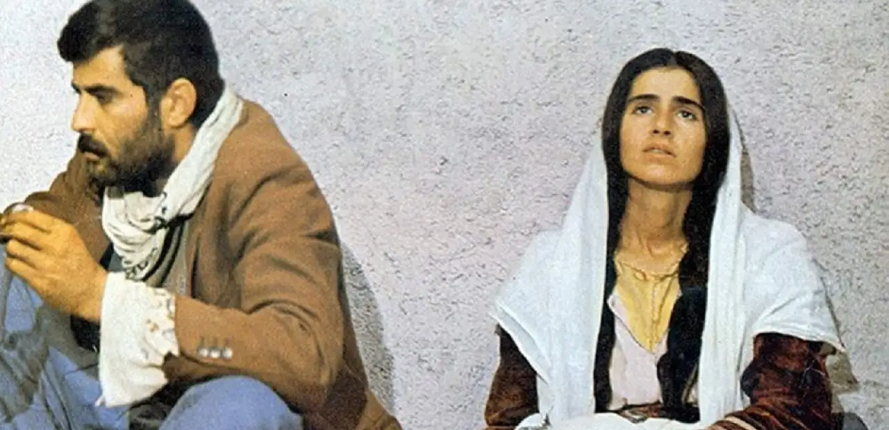Sürü (Film)