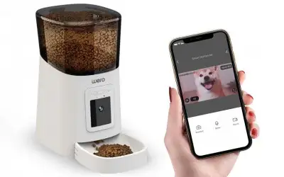 Wero Pet Feeder Otomatik Mama Kabı