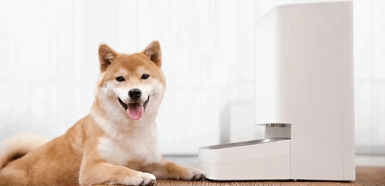 Xiaomi Akıllı Evcil Hayvan Besleyici