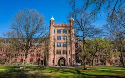 Yale Üniversitesi