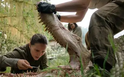 Yok Oluş (Annihilation)